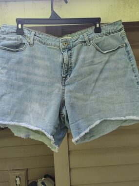 sofia by sofia vergara Light Blue Frayed Denim Cutoff Shorts